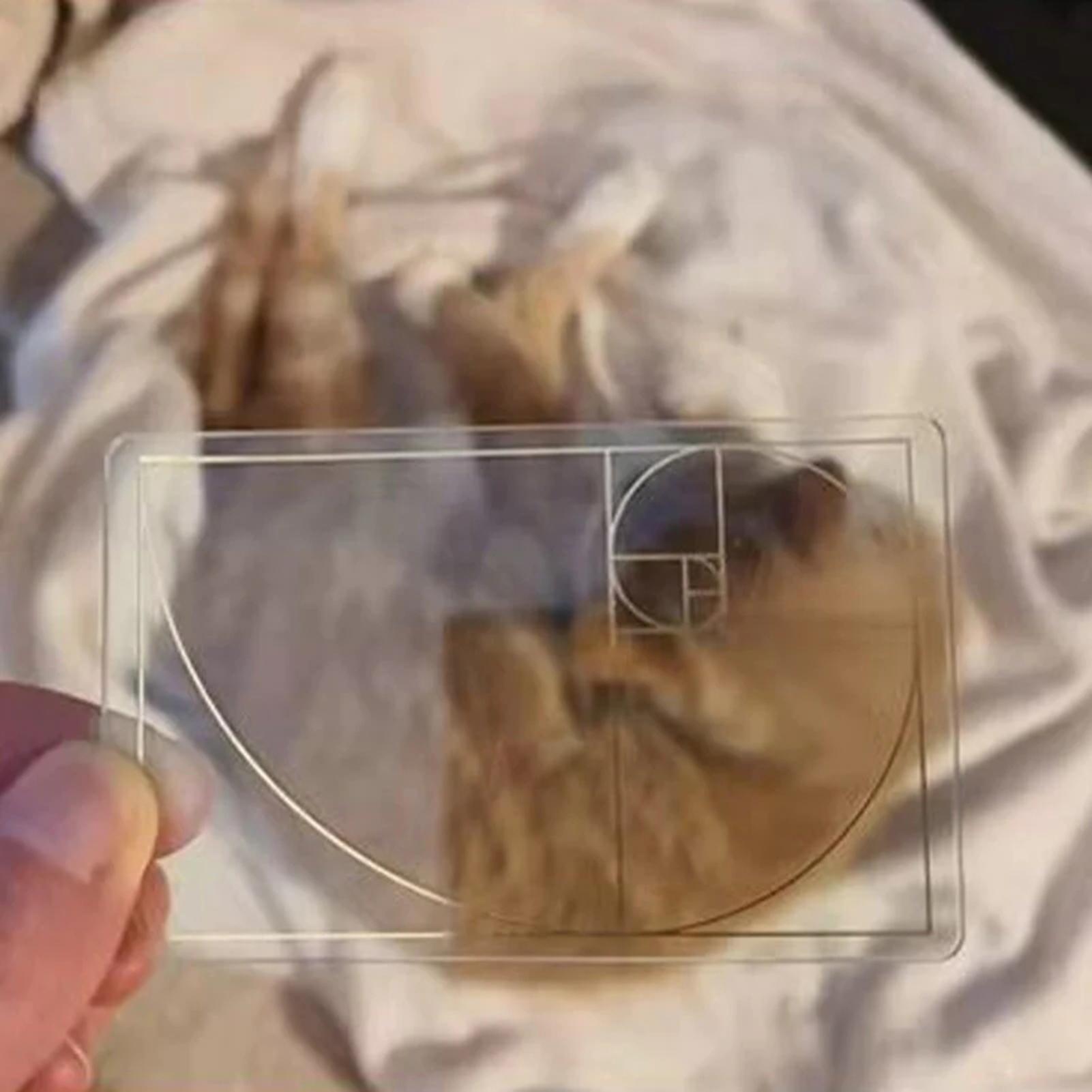 View Finder for Drawing Golden - Photography Golden Ratio บทวิจารณ์และราคา