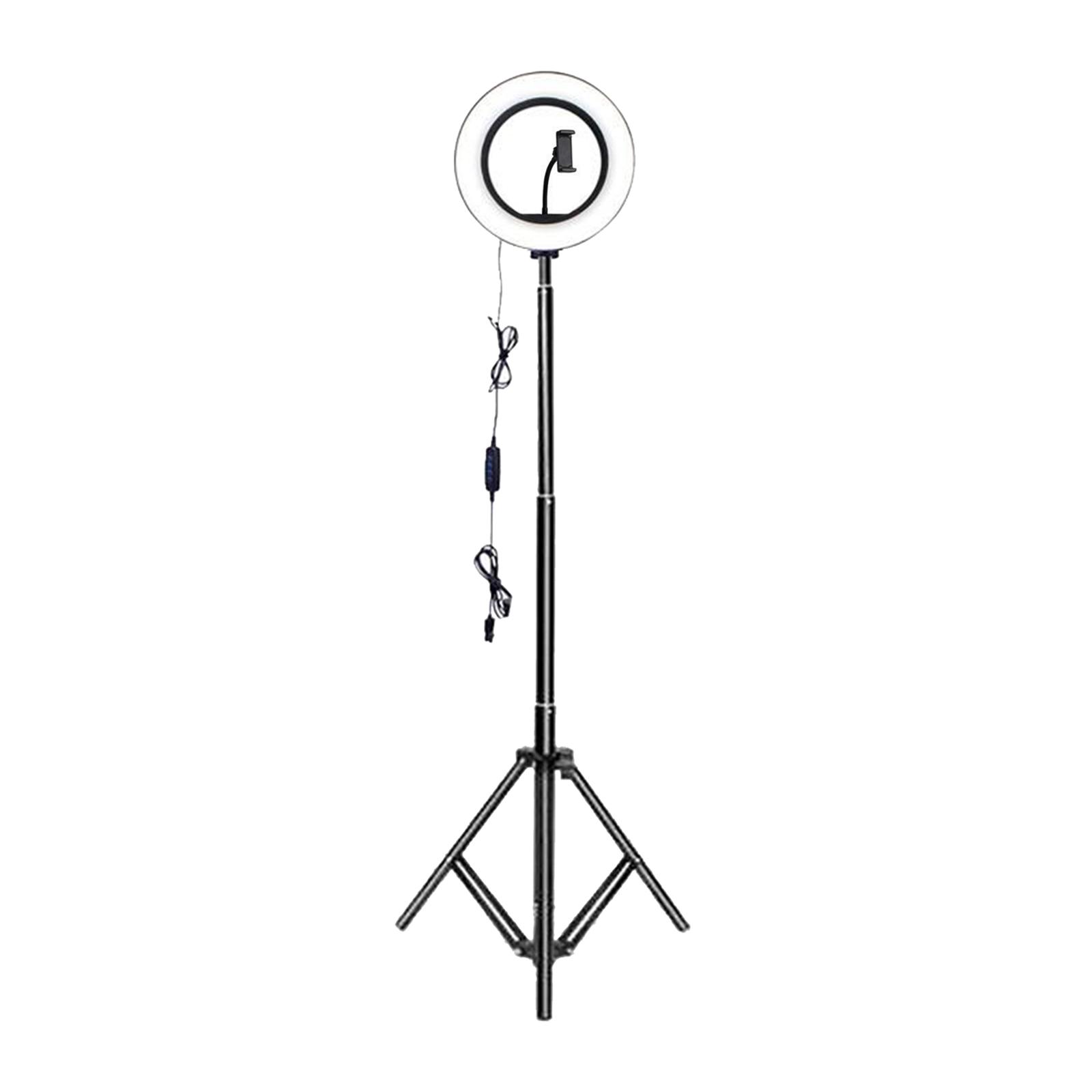 -Gears Bright Adjustable 12